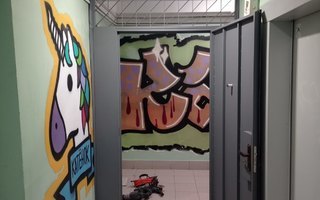 тамбурная дверь (скелет)